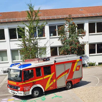 lf2.jpg